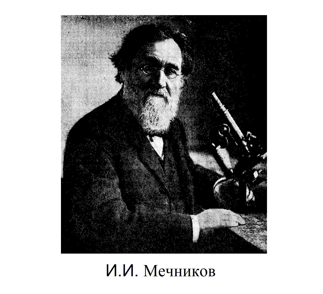 Илья Ильич Мечников (1845 — 1916)