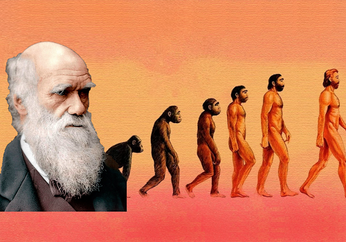 Значение теории Дарвина