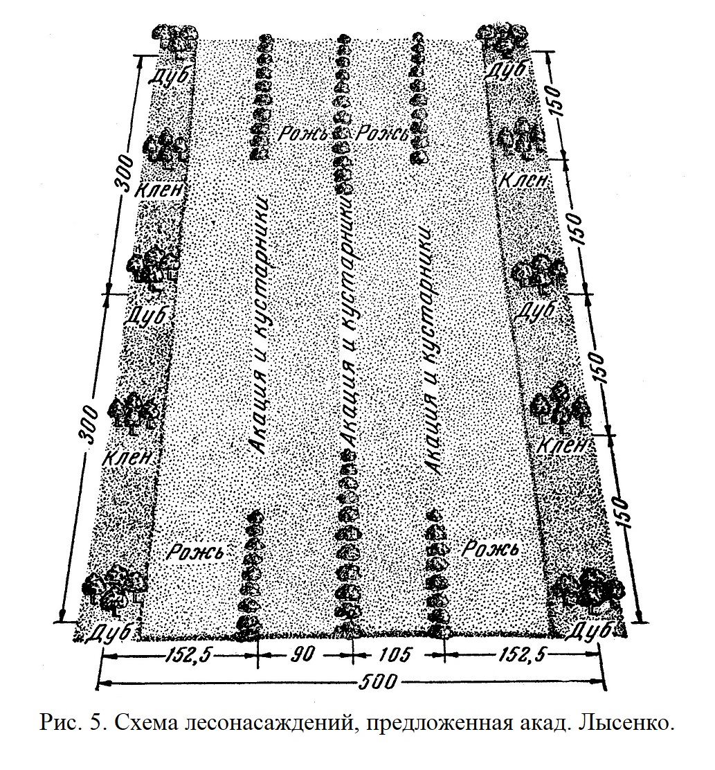 Схема лесонасаждений, предложенная акад. Лысенко
