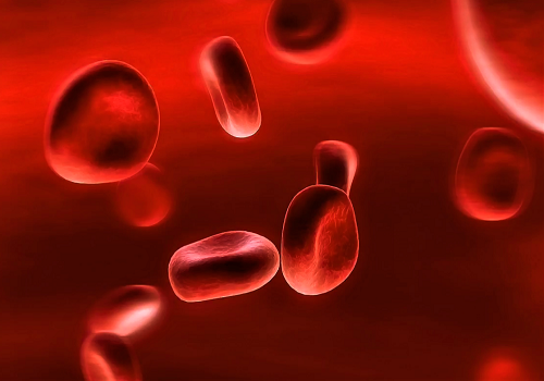 Общее количество крови в организме в норме