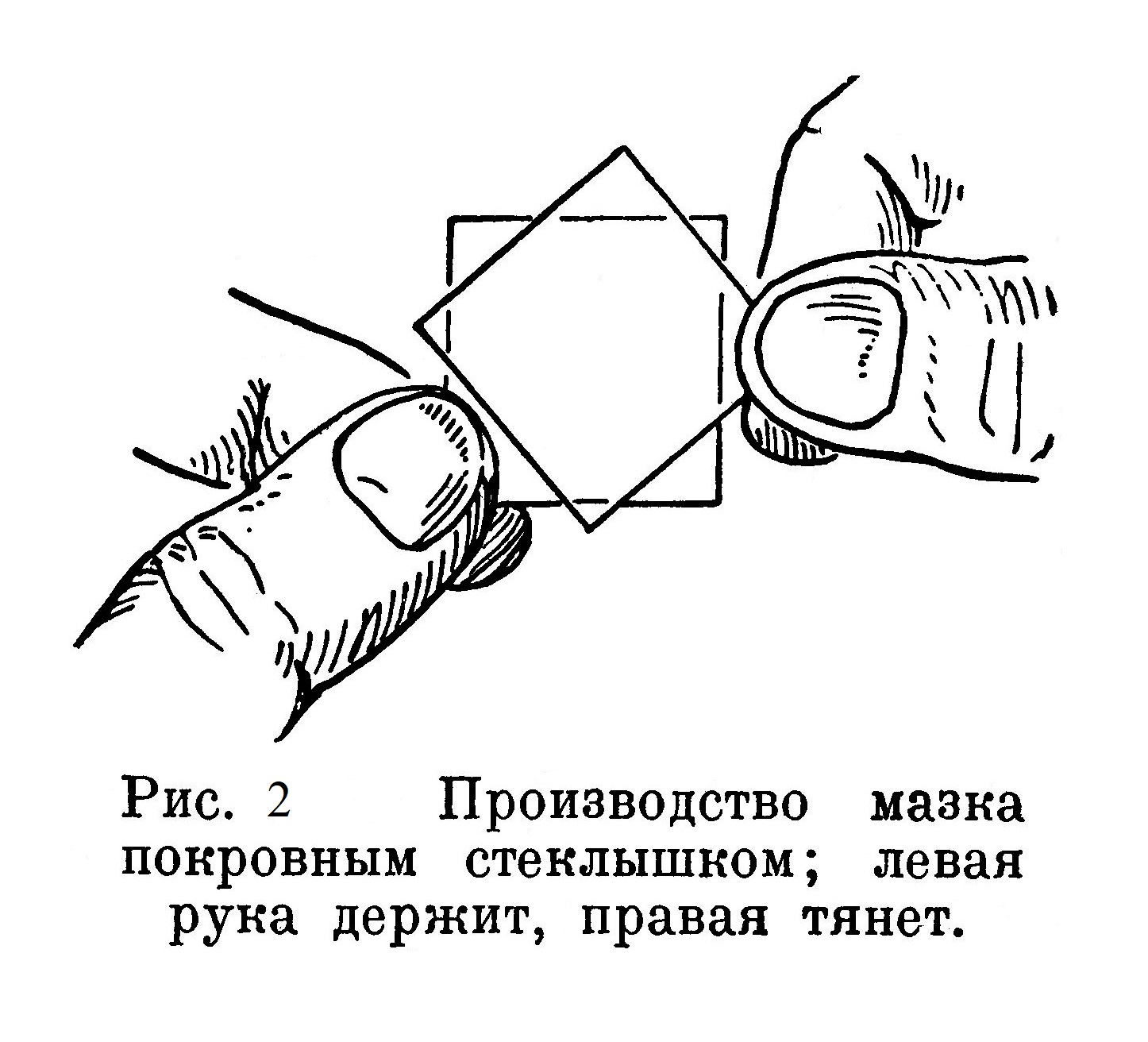 Производство мазка покровным стеклышком; левая рука держит, правая тянет.