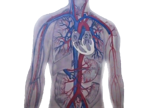 Ревматические изменения артерий